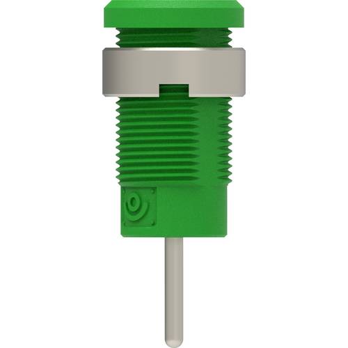 Electro PJP 3267-C-CD1-V Sicherheits-Einbaubuchse Grün 1 St.