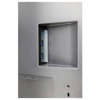 USB- und Kopfhöreranschluss auf der Rückseite eines Monitors oder Gerätes. Zwei USB-Anschlüsse, ein Kopfhörer-Eingang.