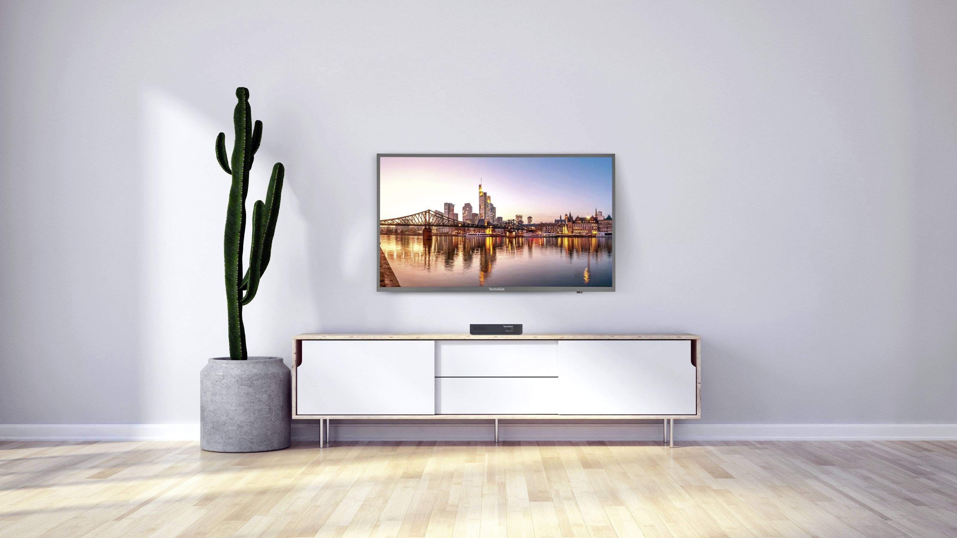 Ein moderner, minimalistischer Wohnraum mit einem Flachbildfernseher an der Wand, einem großen Kaktus in einem Topf und einem eleganten Sideboard.