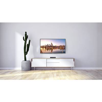 Ein moderner, minimalistischer Wohnraum mit einem Flachbildfernseher an der Wand, einem großen Kaktus in einem Topf und einem eleganten Sideboard.
