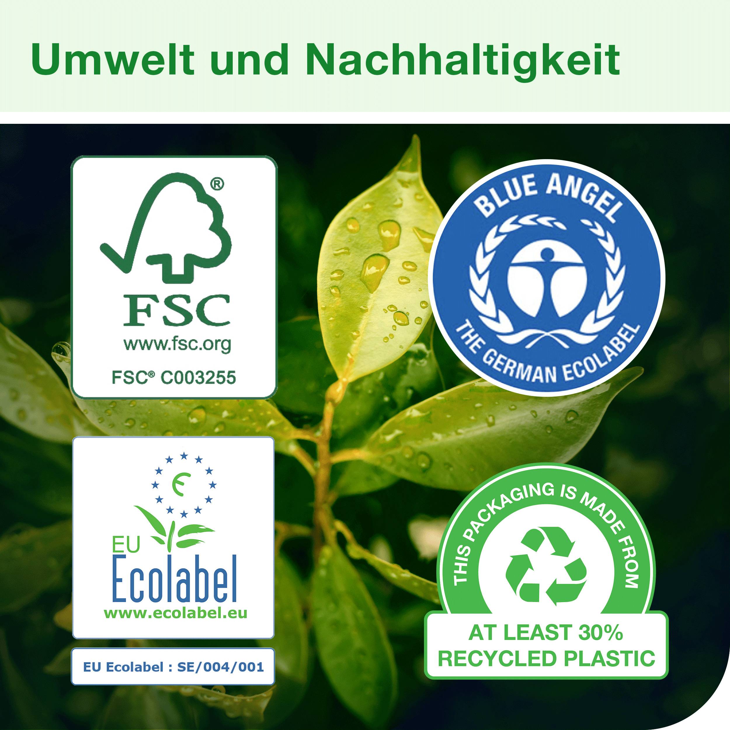 'Umwelt und Nachhaltigkeit' mit Nachhaltigkeitssiegeln: FSC, EU Ecolabel und Blue Angel; Recycling-Plastik-Hinweis auf Blättern.