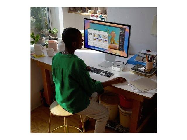 Eine Person arbeitet am Computer in einem hellen Raum mit Pflanzen und Schreibutensilien auf einem Schreibtisch.