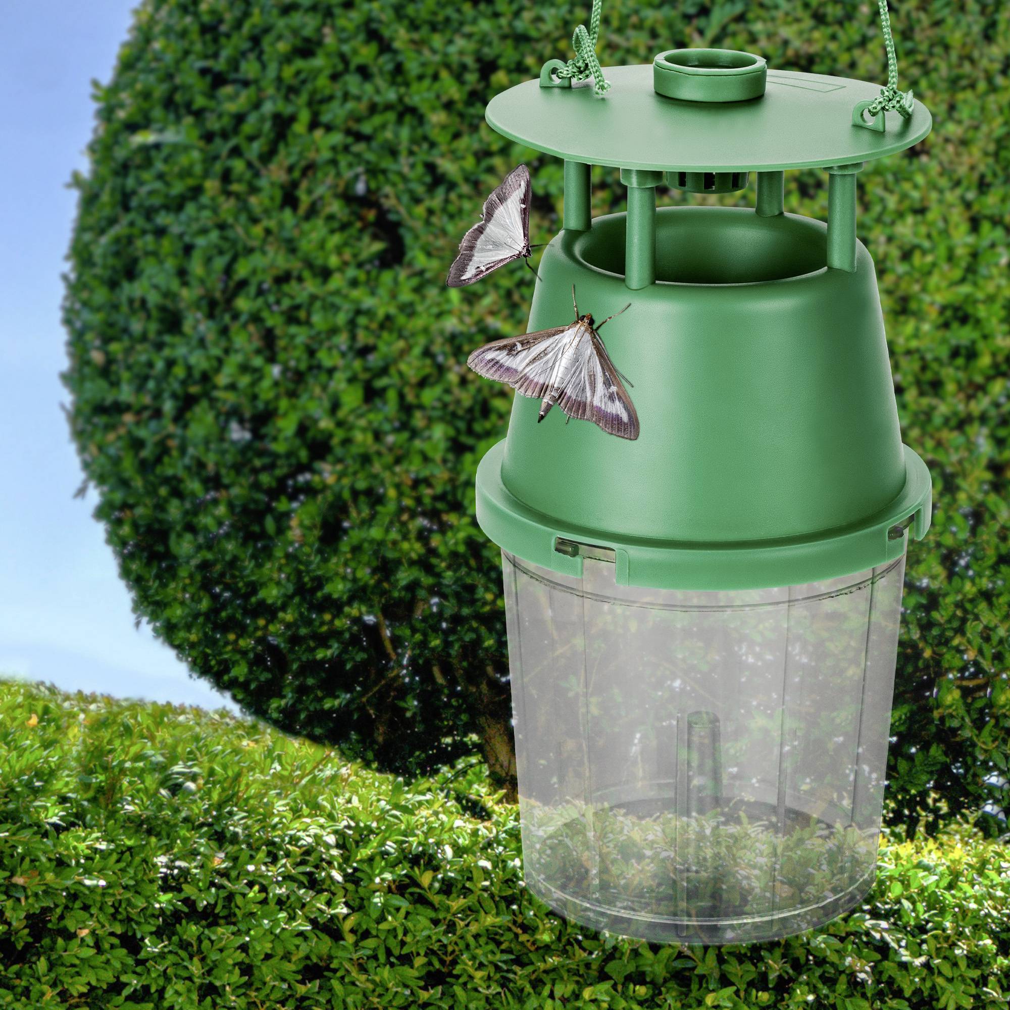 Ein grüner Insektenfänger mit drei Eingängen hängt im Freien, umgeben von künstlichen Motten. Er dient zur Schädlingsbekämpfung.