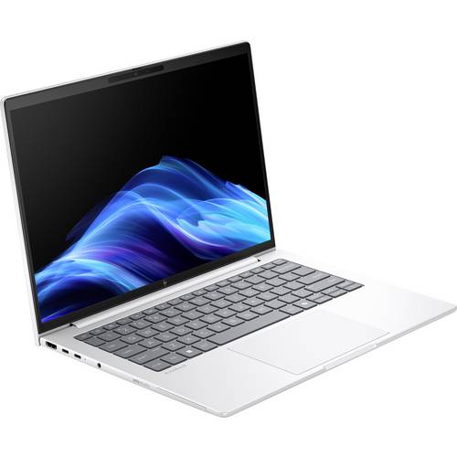 HP Notebook EliteBook 8 G1a 35.6 cm (14 Zoll) WUXGA AMD Ryzen AI 250 32 GB RAM 1 TB SSD Deutsch, QWERTZ Silber AD3E9ET