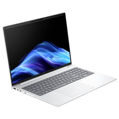 HP Notebook EliteBook 8 G1a 35.6 cm (14 Zoll) WQXGA AMD Ryzen AI 5 340 32 GB RAM 512 GB SSD Deutsch, QWERTZ Silber AD3F8-1