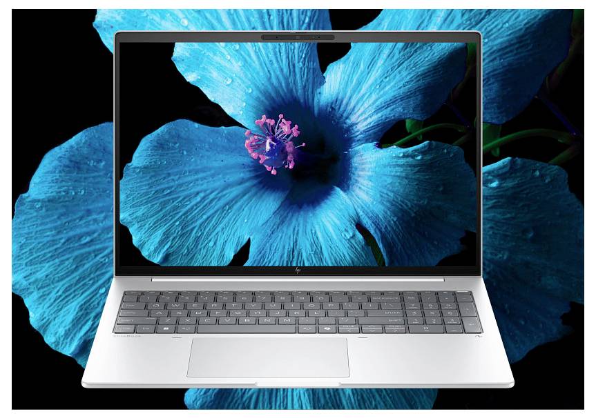 HP Notebook EliteBook 8 G1a 35.6 cm (14 Zoll) WQXGA AMD Ryzen AI 5 340 32 GB RAM 512 GB SSD Deutsch, QWERTZ Silber AD3F8-7