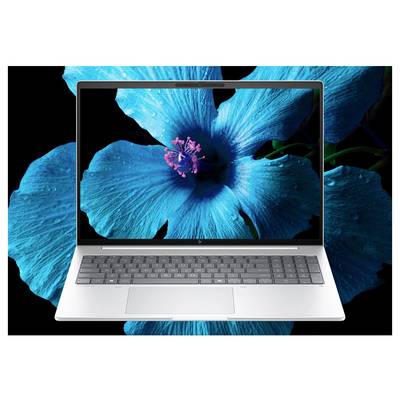 HP Notebook EliteBook 8 G1a 35.6 cm (14 Zoll) WQXGA AMD Ryzen AI 5 340 32 GB RAM 512 GB SSD Deutsch, QWERTZ Silber AD3F8-7
