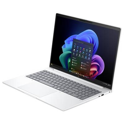 HP Notebook EliteBook 8 G1a 35.6 cm (14 Zoll) WQXGA AMD Ryzen AI 5 340 32 GB RAM 512 GB SSD Deutsch, QWERTZ Silber AD3F8-8
