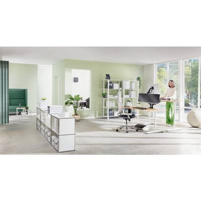 Ein modernes Büro mit grünen Wänden und großen Fenstern. Eine Person arbeitet stehend an einem Schreibtisch mit Computer. Möbel sind hell und funktional.