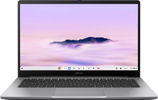 Asus Chromebook Chromebook CX3  35.6 cm (14 Zoll) Full HD Intel® Core™ 3 N355 8 GB RAM 128 GB eMMC  Deutsch, QWERTZ       Grau  90NX0934-M00C50