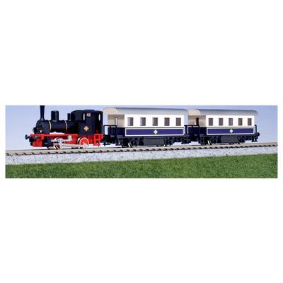 Ein Modellzug mit einer schwarzen Lokomotive und zwei blauen Waggons fährt auf einer erhöhten Schiene über grünes Gras.