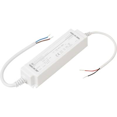 Ein rechteckiger LED-Treiber mit weißem Gehäuse, zwei Drähten, die von jedem Ende abstehen, mit technischen Spezifikationen auf seiner Oberfläche gekennzeichnet.