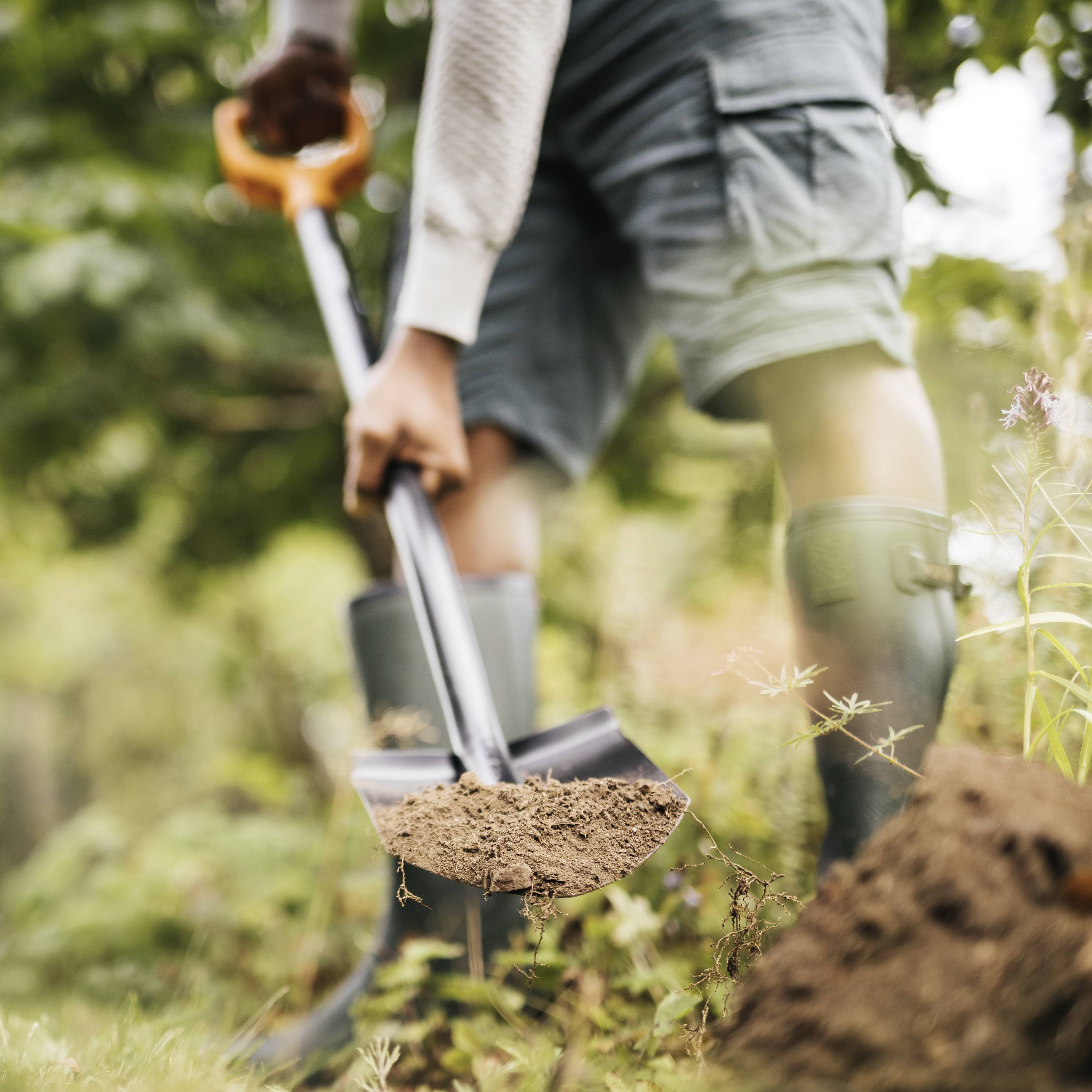 Eine Person gräbt in einem Garten mit einem Spaten. Der Boden ist locker, und im Hintergrund sind Bäume zu sehen.