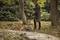 Eine Person in grüner Kleidung und Gummistiefeln harkt Laub in einem herbstlichen Park. Bäume und Laubhaufen sind im Hintergrund sichtbar.