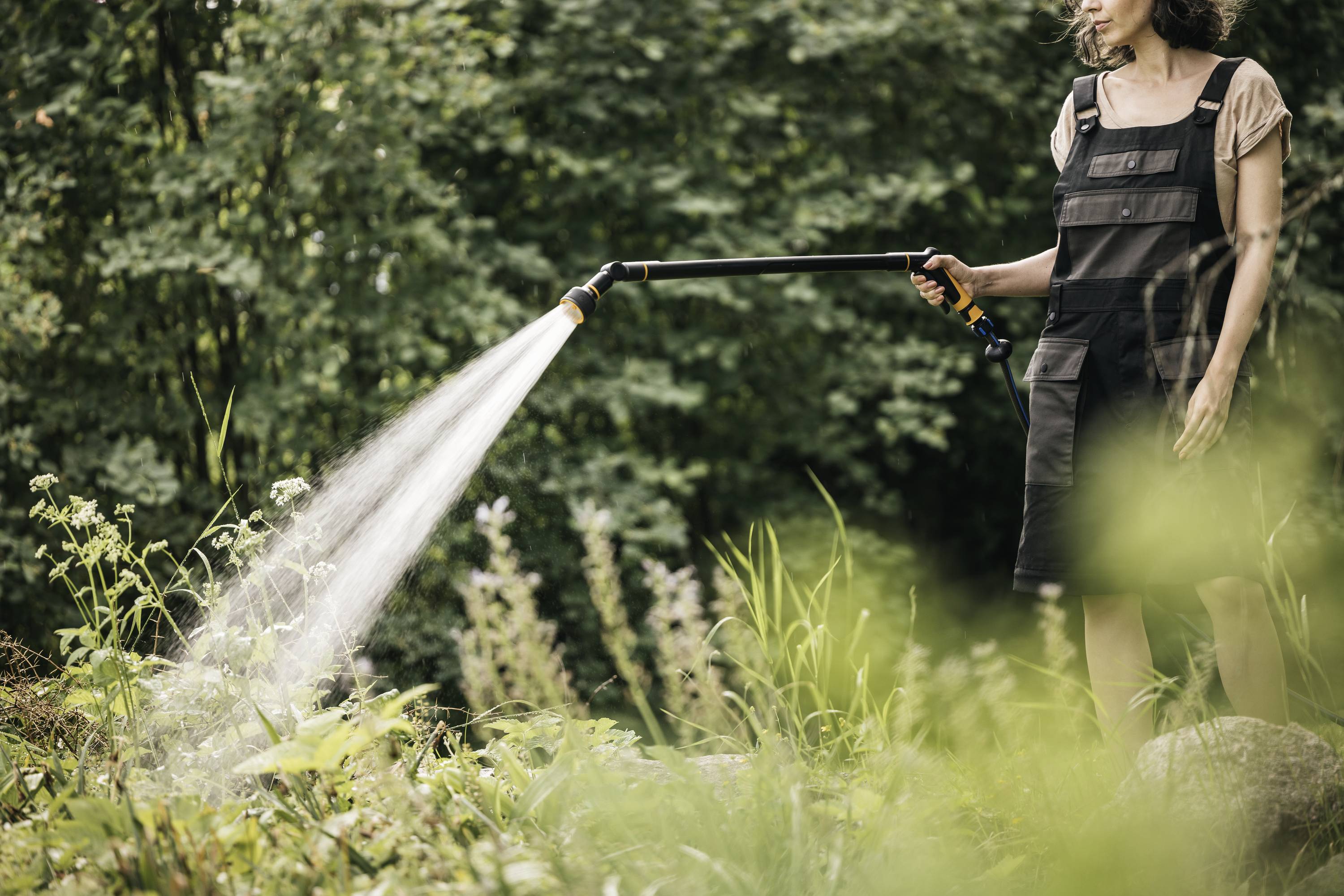 Eine Person bewässert Pflanzen im Garten mit einem Schlauch. Im Hintergrund sind Bäume zu sehen.