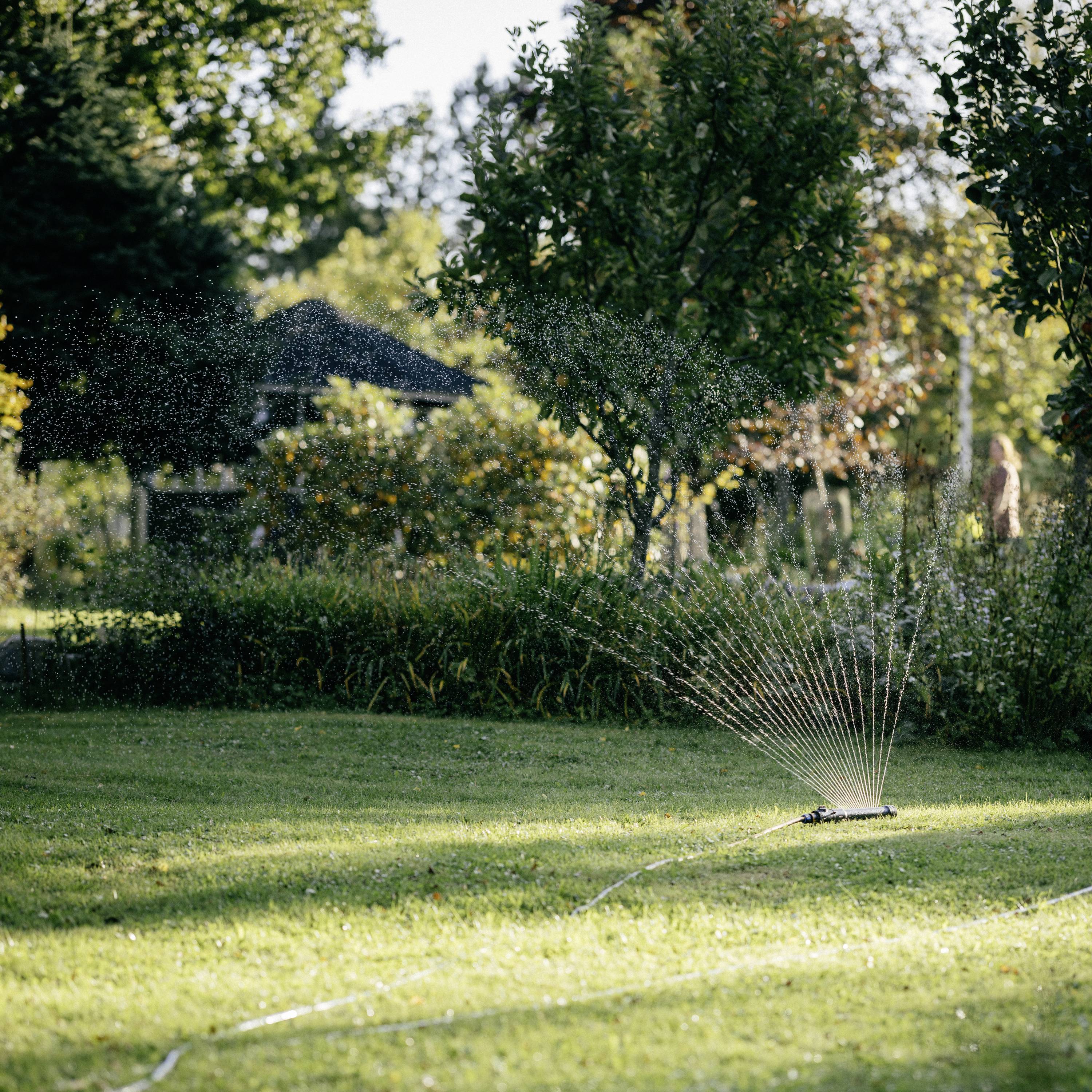 Ein grüner Gartenrasen wird von einem laufenden Sprinkler bewässert, Bäume und Pflanzen im Hintergrund, sonniges Wetter.