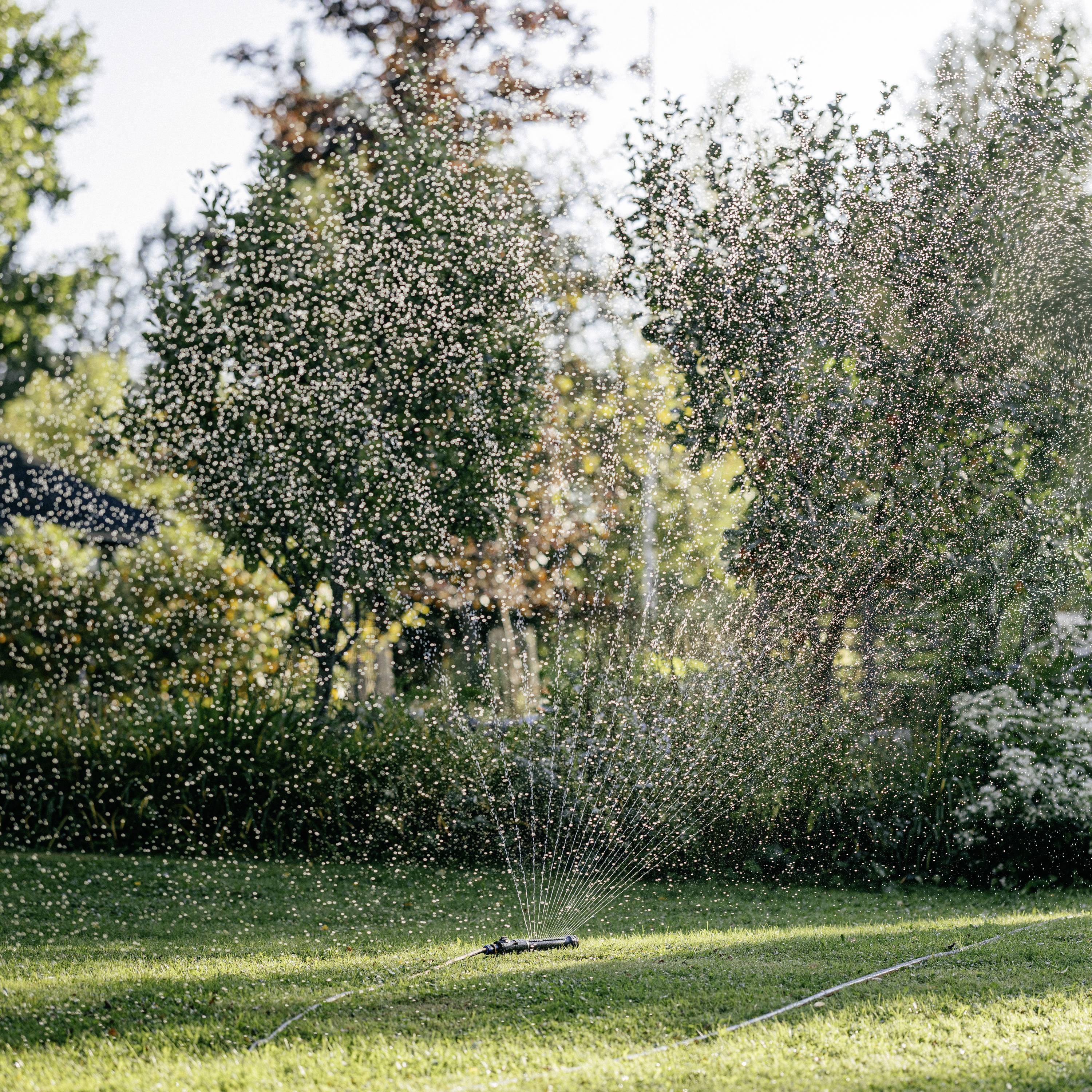 Ein Rasensprenger bewässert einen grünen Rasen, während Sonnenlicht durch fallendes Wasser glitzert. Im Hintergrund sind Bäume sichtbar.