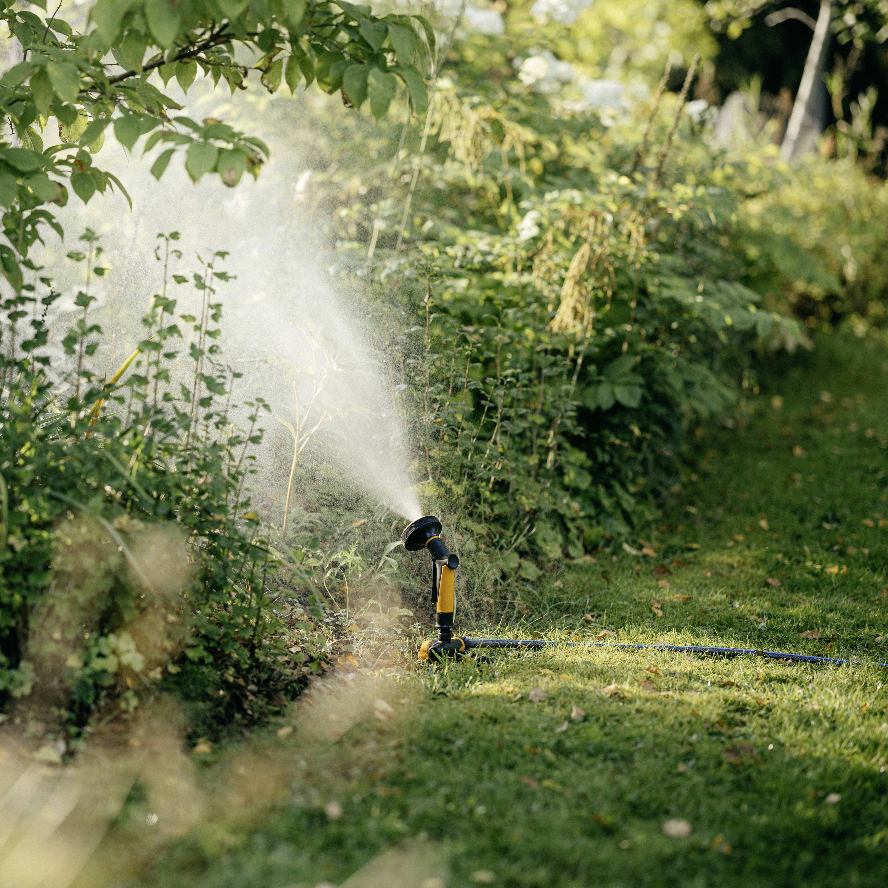 Ein Rasensprenger bewässert eine grüne Gartenfläche mit Büschen im Hintergrund. Sonnenlicht scheint durch die Blätter der Bäume.