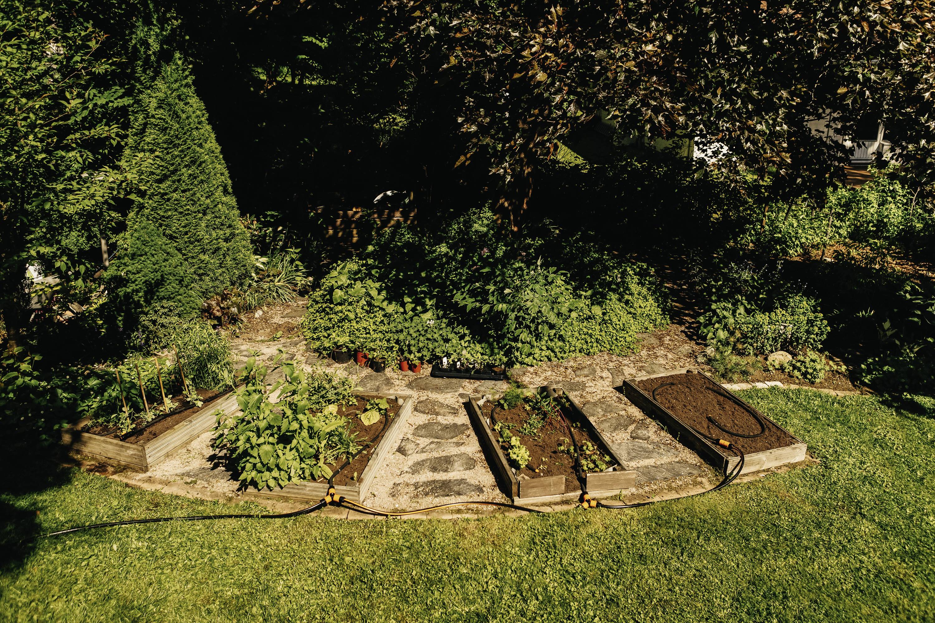 Gemüsegarten mit mehreren Hochbeeten, bepflanzt mit Gemüse. Wege aus Steinplatten trennen die Beete. Im Hintergrund sind Bäume zu sehen.