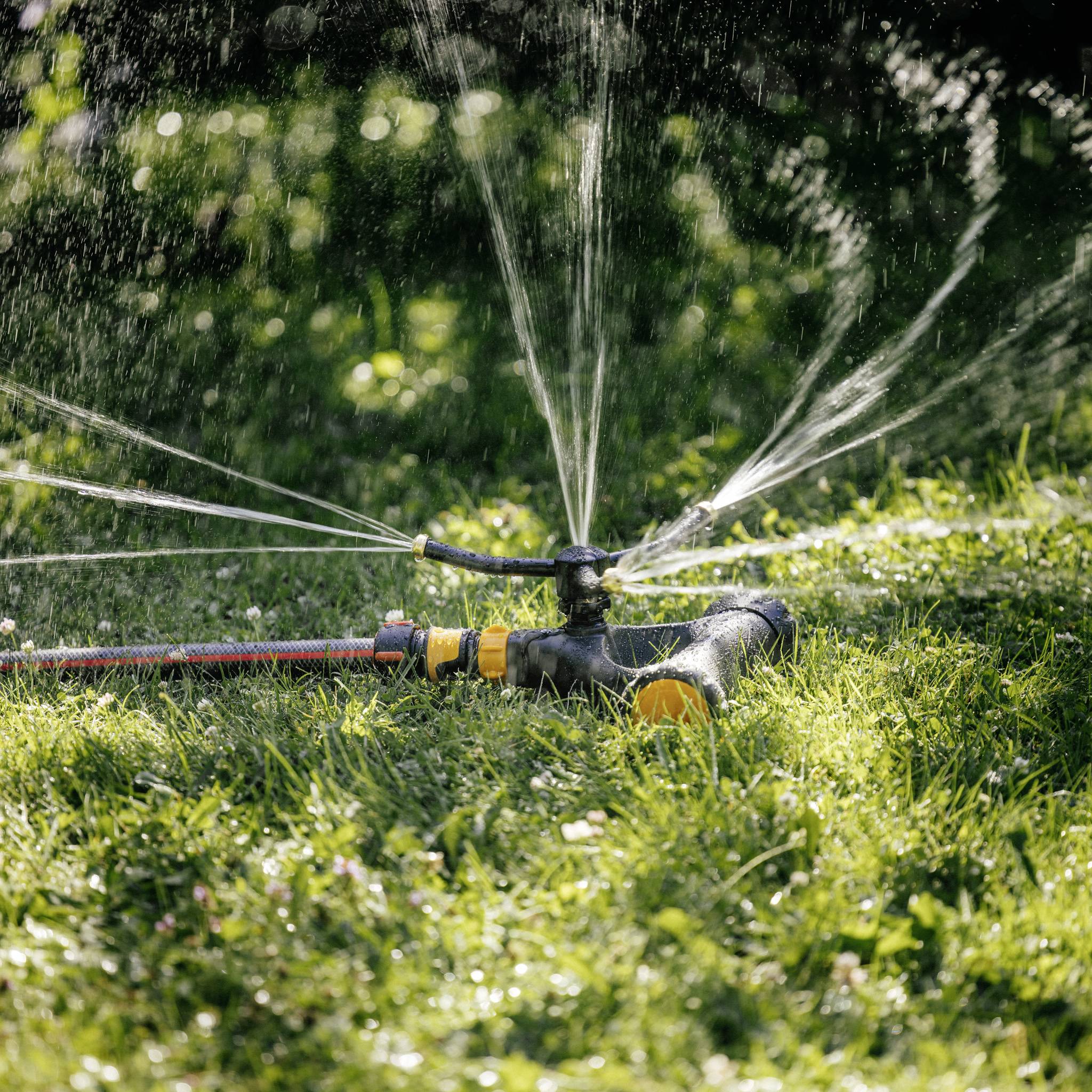 Ein Rasensprenger bewässert einen grünen Rasen in einem Garten. Wasserstrahlen erzeugen ein gleichmäßiges Muster auf dem Gras.