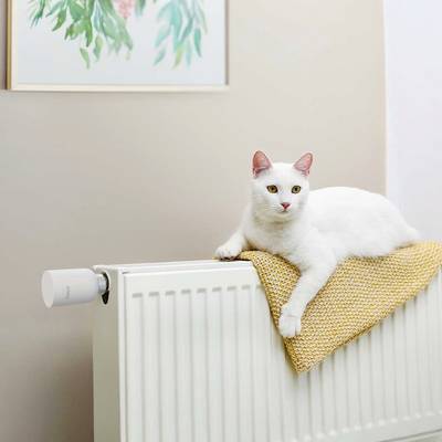 Eine weiße Katze liegt entspannt auf einem grob gestrickten gelben Tuch auf einem Heizkörper. Im Hintergrund hängt ein Pflanzenbild an der Wand.