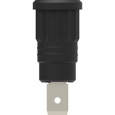 Electro PJP 3286-CD1-N Sicherheits-Einpressbuchse Buchse Stift-Ø: 4 mm Schwarz 1 St. Piece-0