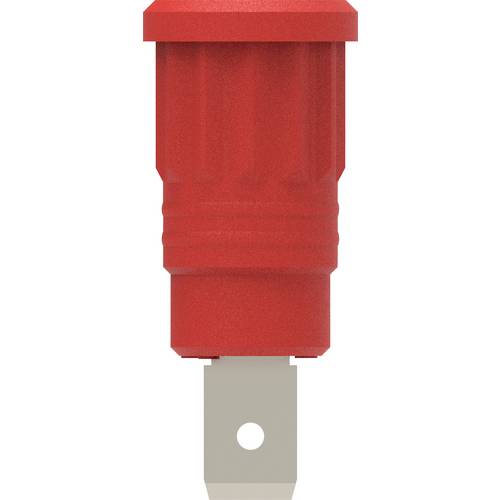 Electro PJP 3286-CD1-R Sicherheits-Einpressbuchse Rot 1 St.