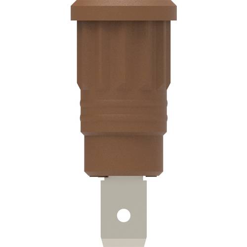 Electro PJP 3286-CD1-BN Sicherheits-Einpressbuchse Braun 1 St.