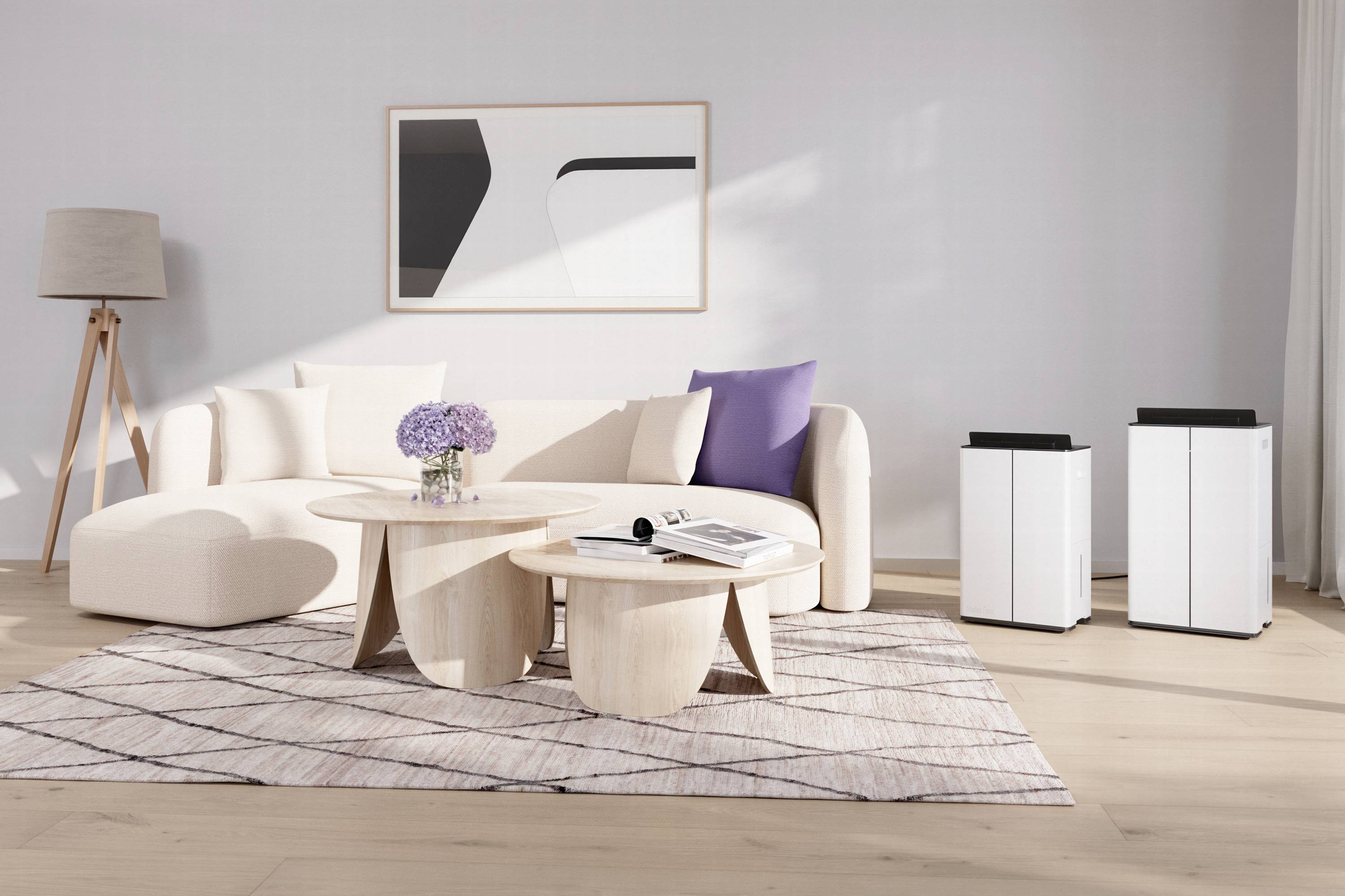 Stadler Form Luftentfeuchter 175 m² 545 W 50 l/Tag Weiß-9