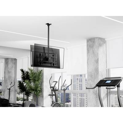 Ein modernes Fitnessstudio mit Trainingsgeräten, darunter ein Laufband und Standfahrräder. An der Wand ist ein Fernseher montiert, mit Blick auf die Stadtlandschaft.
