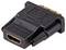 Ein Adapter von DVI zu HDMI, schwarzes Gehäuse, dient zum Verbinden von Geräten mit unterschiedlichen Schnittstellen.
