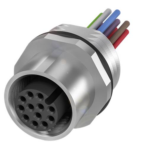 BALLUFF Steckverbinder/Verbindungskabel - BCC0E59, 1 St.