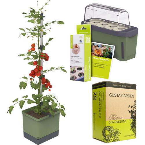 Thumbnail - Gusta Garden Tomaten-Starter-Set 5-teilig dunkelgrün TOM TOMATO / HARRY HERBS / Zubehör / W07080 Pflanzgefäß