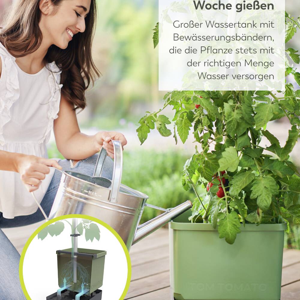 Eine Frau gießt eine Tomatenpflanze in einem grünen Pflanzkübel mit Wasser. Text erklärt Bewässerungssystem mit Wassertank.