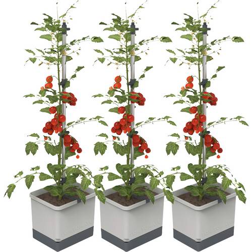 Gusta Garden TOM TOMATO 3er-Set, hellgrau / W07073 Pflanzgefäß