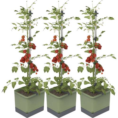 Thumbnail - Gusta Garden TOM TOMATO 3er-Set dunkelgrün / W07074 Pflanzgefäß