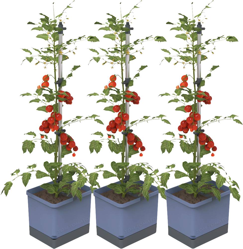 Gusta Garden TOM TOMATO 3er-Set blau / W07075 Pflanzgefäß
