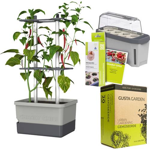 Gusta Garden Chili-Starter-Set 5-teilig hellgrau CHARLY CHILI / HARRY HERBS / Zubehör / W07082 Pflanzgefäß