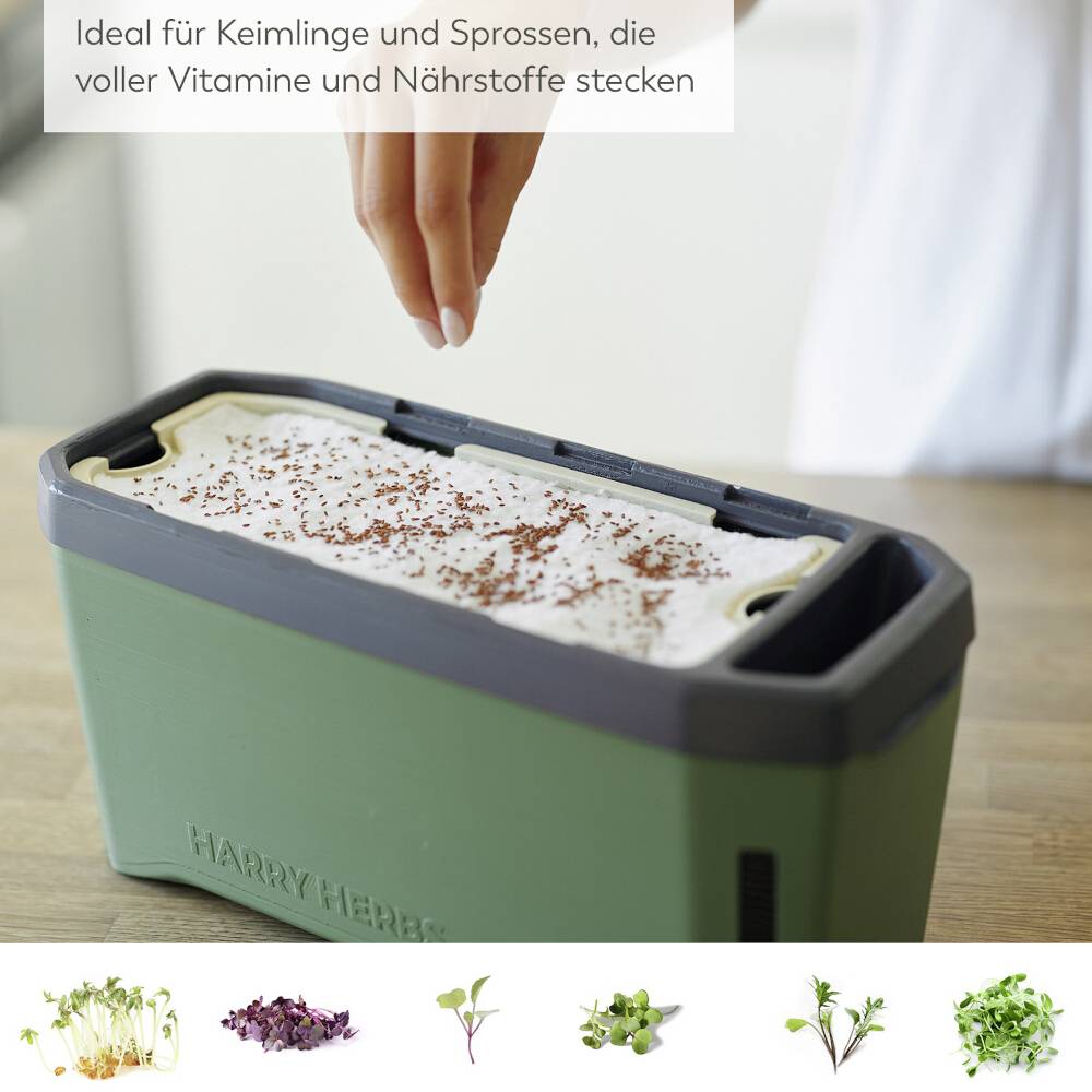 Eine Hand streut Samen auf Erde in einem kleinen grünen Behälter. Oben steht 'Ideal für Keimlinge und Sprossen, die voller Vitamine und Nährstoffe stecken'. Unten sind Bilder von Keimlingen.