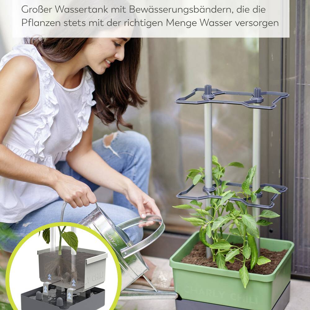 Frau gießt Pflanzen in einem grünen Blumenkasten mit Gießkanne. Oben Bewässerungsstängel. Text über richtige Wassermenge für Pflanzen.