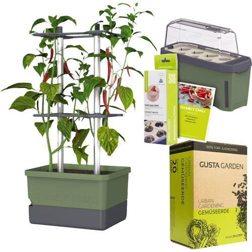 Gusta Garden Chili-Starter-Set 5-teilig dunkelgrün CHARLY CHILI / HARRY HERBS / Zubehör / W07083 Pflanzgefäß
