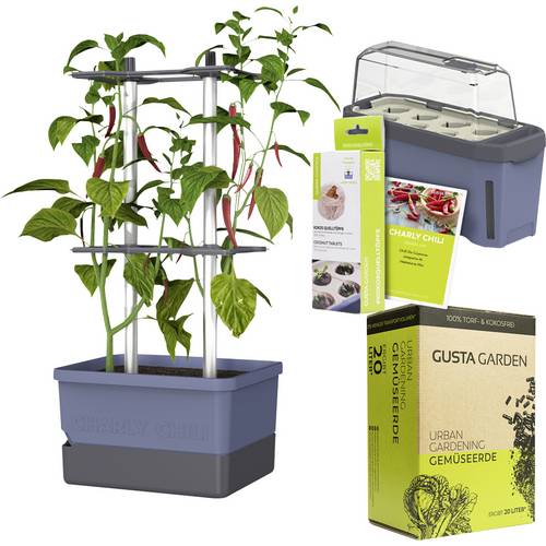 Gusta Garden Chili-Starter-Set 5-teilig blau CHARLY CHILI / HARRY HERBS / Zubehör / W07084 Pflanzgefäß
