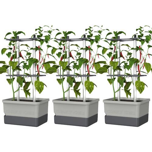 Gusta Garden CHARLY CHILI 3er-Set hellgrau / W07076 Pflanzgefäß