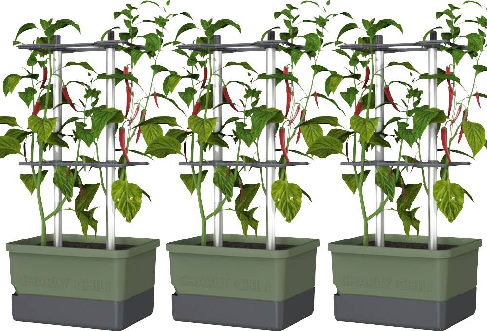 Gusta Garden CHARLY CHILI 3er-Set dunkelgrün / W07077 Pflanzgefäß