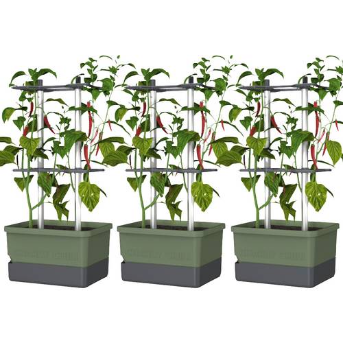 Gusta Garden CHARLY CHILI 3er-Set dunkelgrün / W07077 Pflanzgefäß