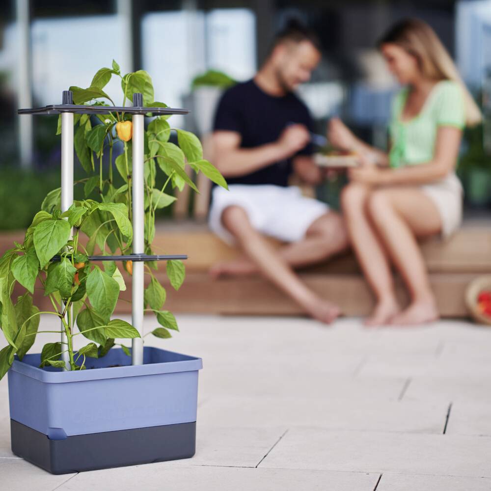 Eine Pflanze in einem rechteckigen Topf steht im Vordergrund. Im Hintergrund sitzen zwei Personen unscharf im Gespräch auf einer Terrasse.