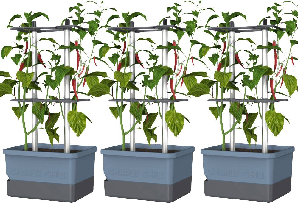 Gusta Garden CHARLY CHILI 3er-Set blau / W07078 Pflanzgefäß