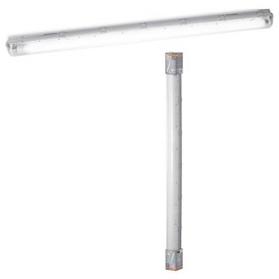 Eine längliche LED-Leuchte in einem transparenten Gehäuse, geeignet für feuchte Umgebungen, dargestellt mit Verpackung.