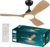 Philips LED Olas Deckenventilator 30 W (Ø x H) 1070 mm x 310 mm Schwarz mit Fernbedienung, Dimmbar
