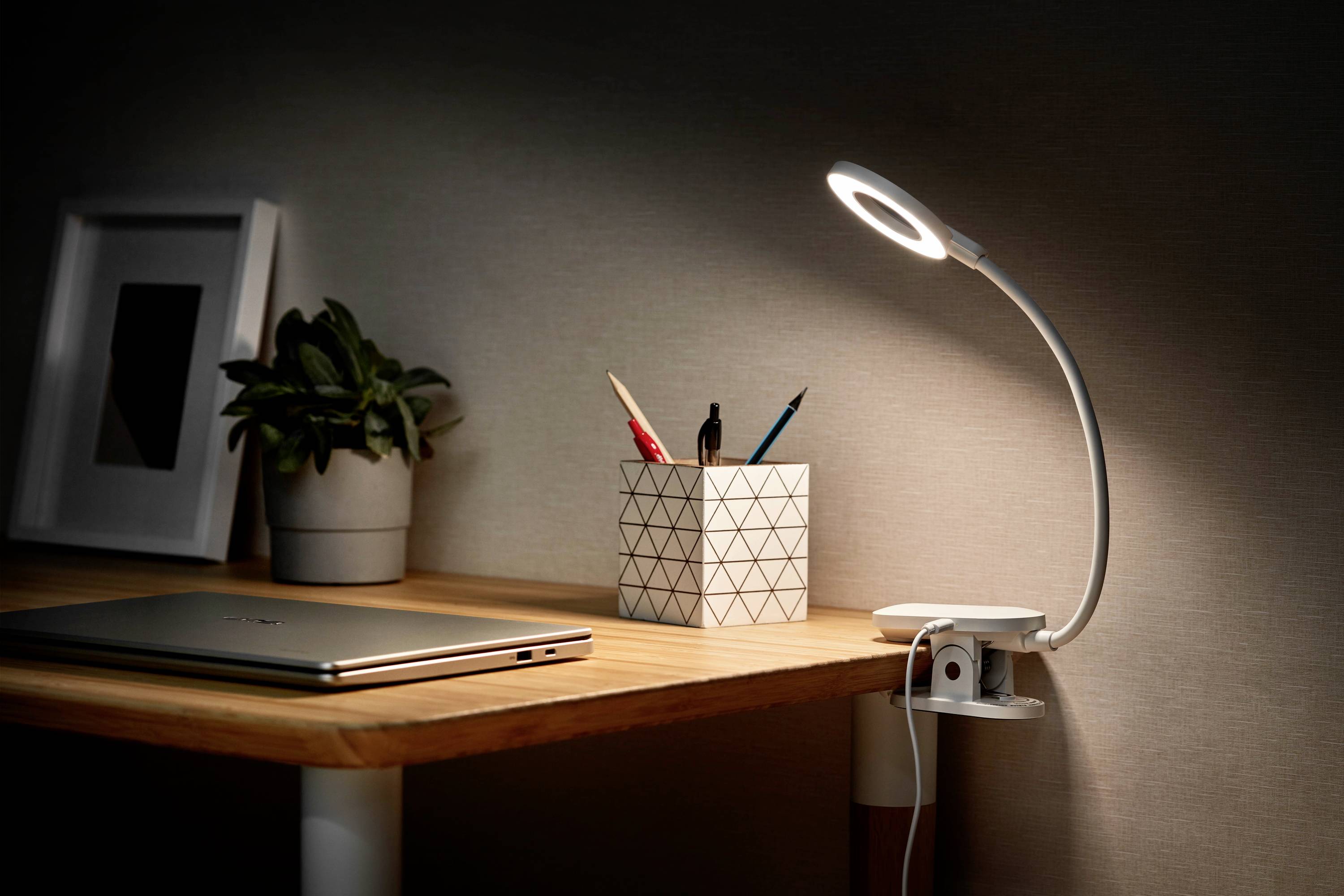 Moderner Schreibtisch mit schlanker, leuchtender Lampe, einem Laptop, einer Pflanze und einem Stiftehalter. 